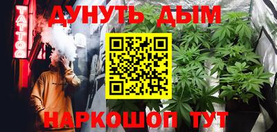 МДПВ Кингисепп