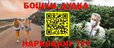 МДПВ Кингисепп