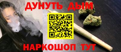МДПВ Кингисепп