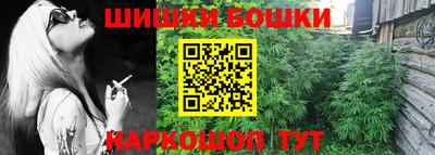 МДПВ Кингисепп